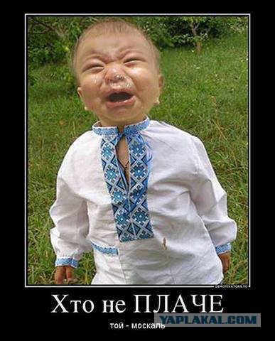 Бандеровец с деревянным автоматом пытается