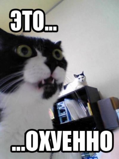 Ультиматум Москве