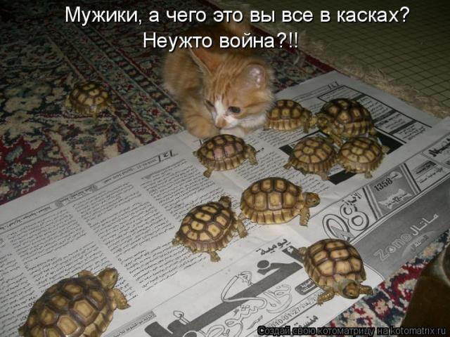 Дикая природа.