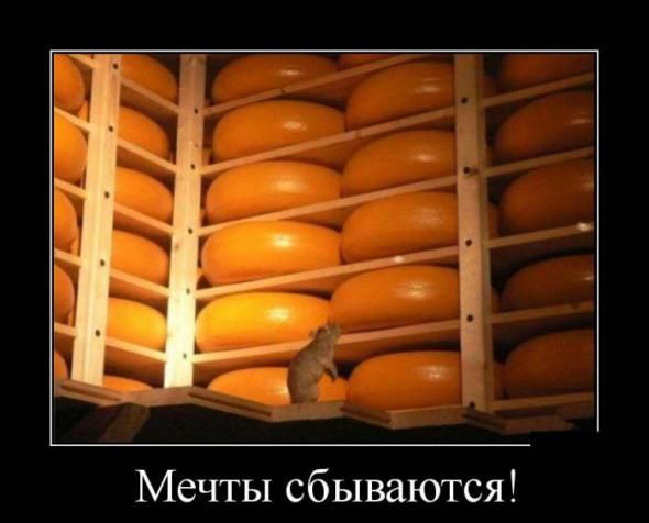 Давно демотиваторов не было