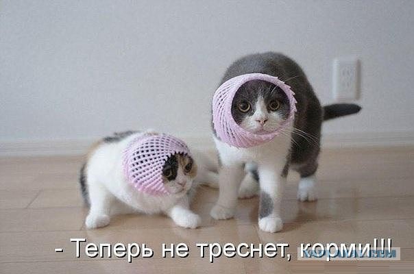 Весёлое из сети