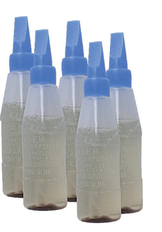 В нашем доме появился