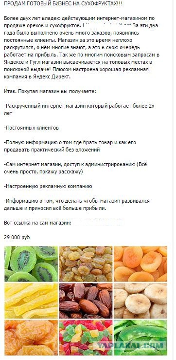 как замутить свой бизнес получить образование, выйти