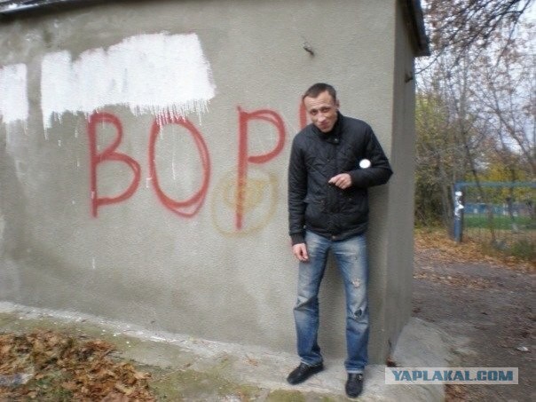 Очередные персонажи из сети