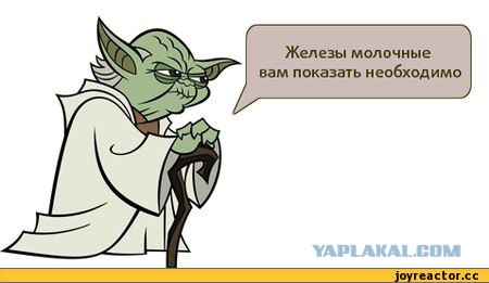 Как я обломалась пылесосить