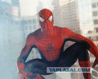 Неожиданность с пауком