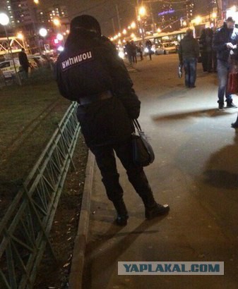 Разные картинки из сети