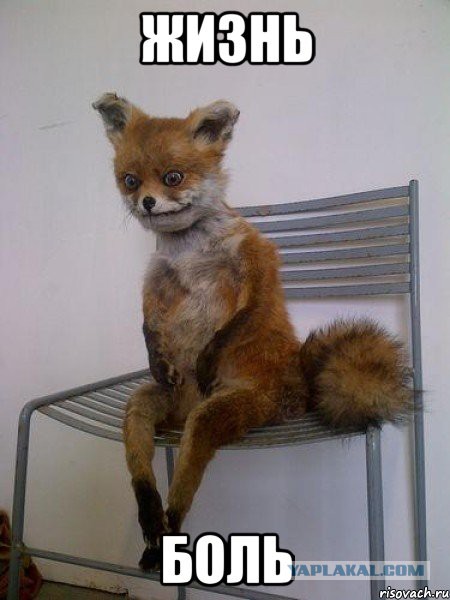 NVIDIA GTX 750 Ti c АлиЭкспресс