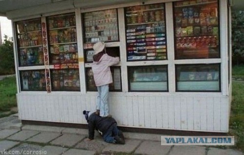 Прикольные картинки