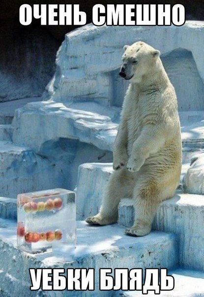 Абсурдный юмор ч.11