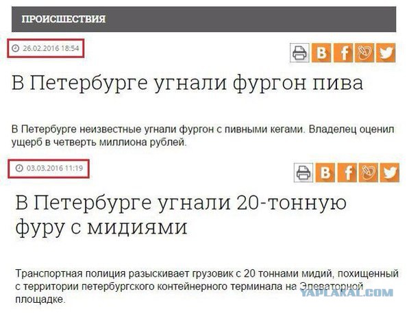 Картинки из сети, подборка на пятницу.