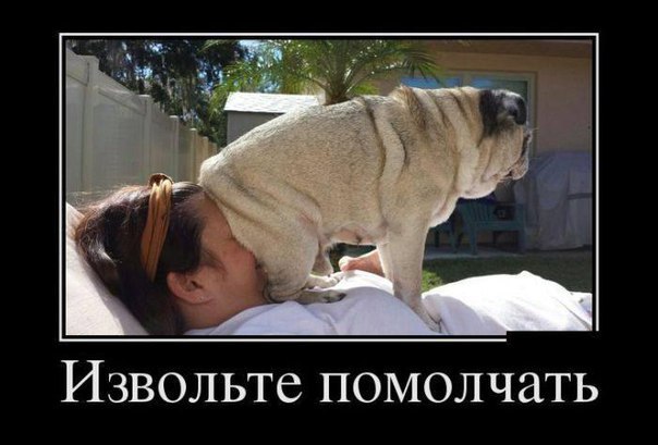 Подборка веселых картинок на выходные