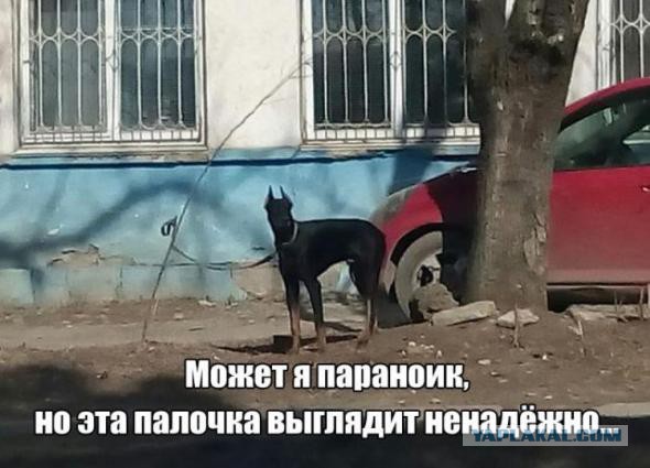 Подборка интересных и веселых картинок