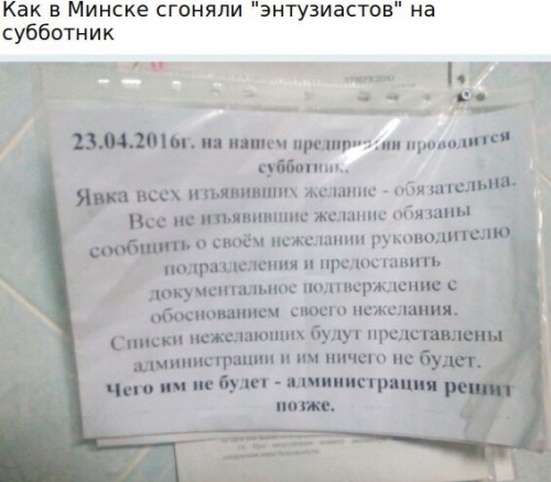 Подборка интересных и веселых картинок