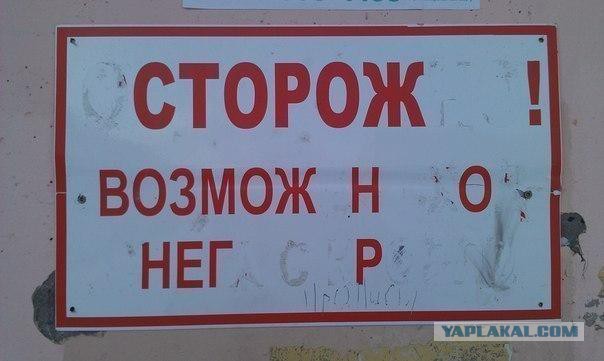 Подборка интересных и веселых картинок