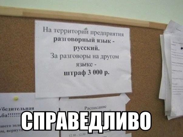 Задержание в Люблино: Дерзкие гости столицы