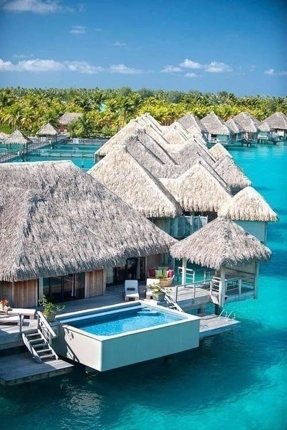 Моменты, запечатлённые на фото и просто позитив 5