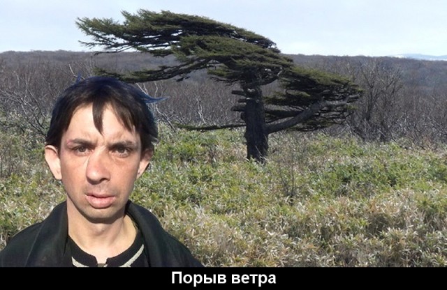 Фотовитамины