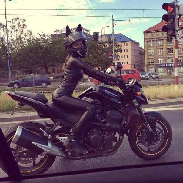 Прикольные картинки абавсём