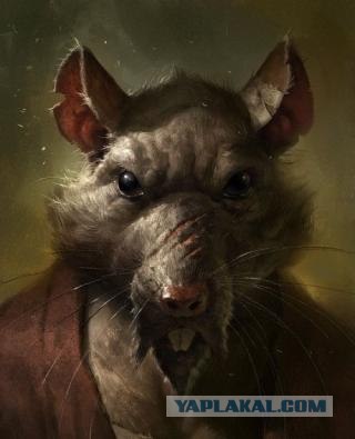 Гигантские крысы в Англии