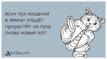 Анекдоты, истории и картинки с надписями