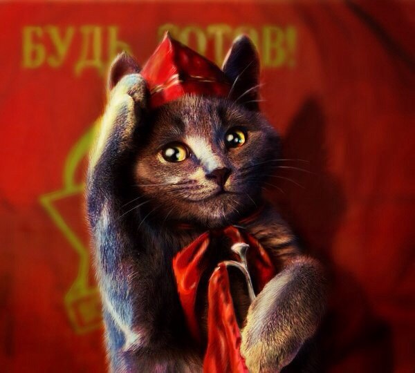 Смешные картинки коты ссср