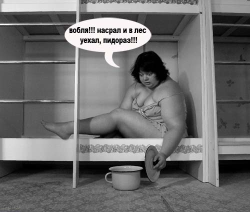 Фотожаба: Аркаша и лес