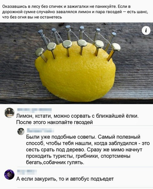 Немного картинок для настроения 05.11.20