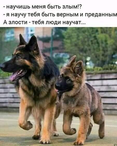 Бредзона 03.12.20