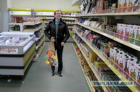 Наночек Медведева. Пожабим?