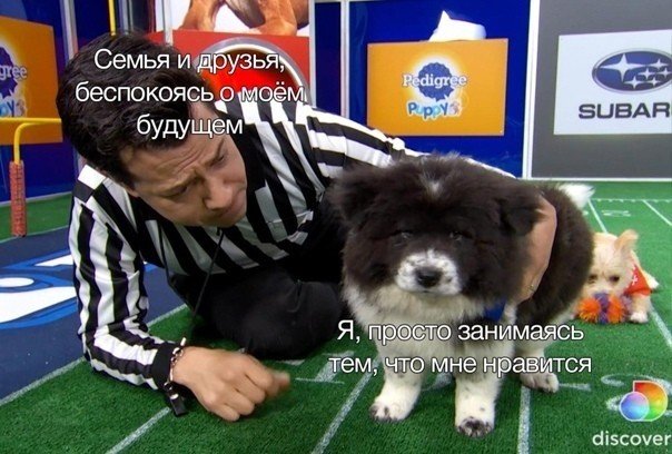 Совершенно упоротая тема о родственниках