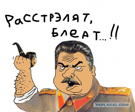 Депутат подумал, что сбил собаку, а не человека...