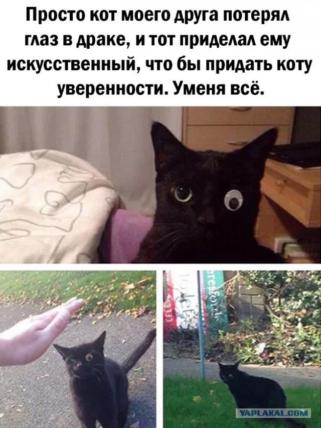 Так себе картинки 02.06.22