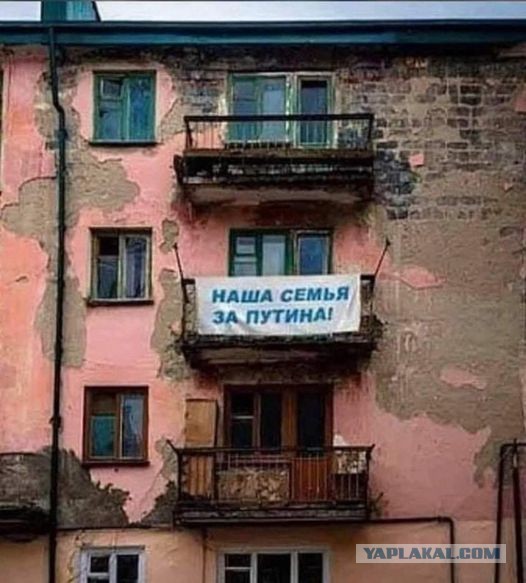 Путин: в «Кока-Коле» одна химия, иван-чай полезнее!