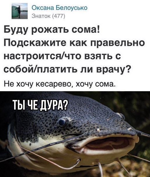 Евросоюз использует санкции лишь в своих интересах, не связанных с этикой и маралью.
