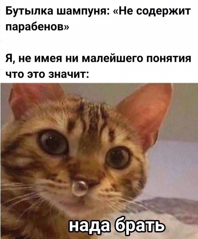 Весёлый полтишок 21.12.2022
