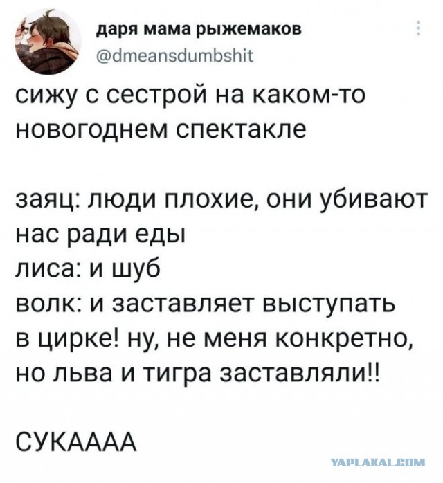 Скриншоты и комментарии из социальных сетей 28.12.22