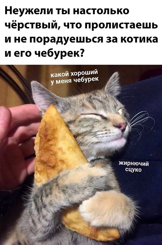 Немного картинок для настроения - 137