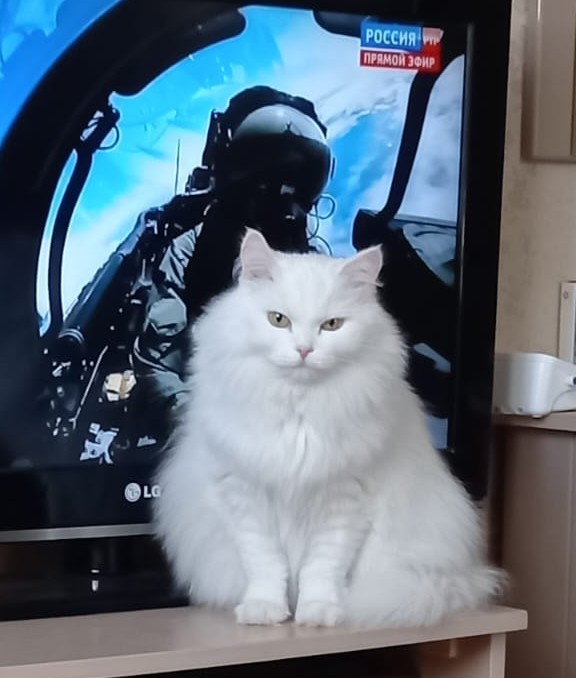 Вот! Теперь удобно