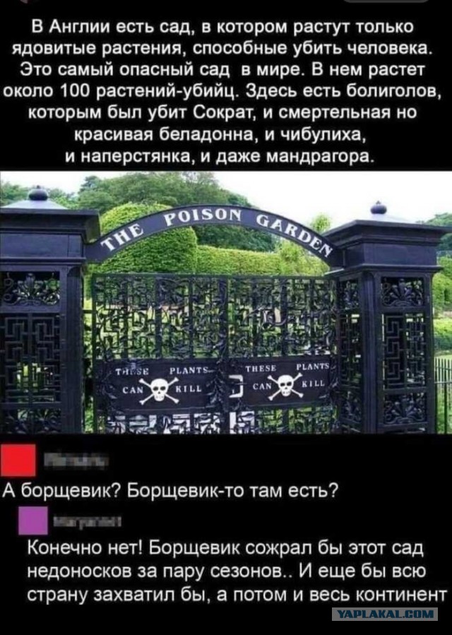 Так себе картинки 02.09.23