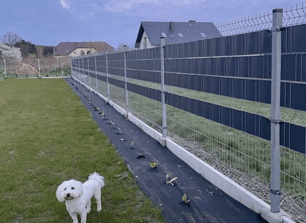 Многие не знают, что заборы из 3D сетки имеют классную фишку, ей часто пользуются в Европе