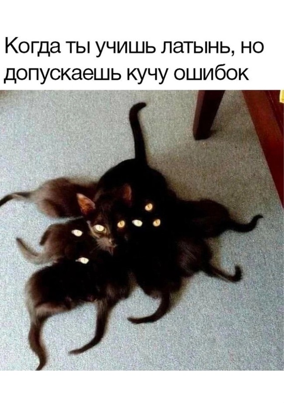 Народная меДИЧина 23