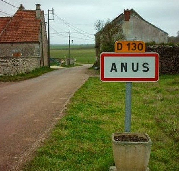 Прикольные и просто красивые картинки 24.05.2024