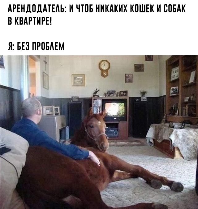 Так себе картинки 07.03.25