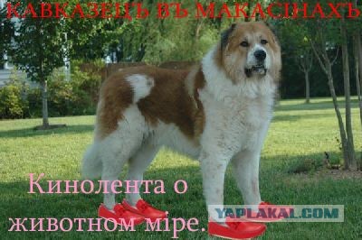 На старый лад!