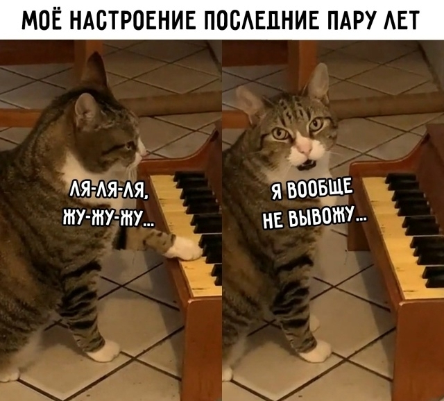 Картинки для деградации 169 (разной степени свежести)