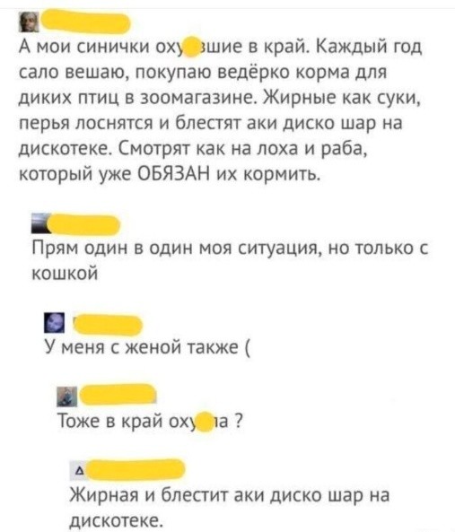 Картиночки, баянчики 10 апреля