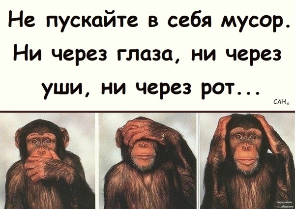 Воскресные картинки