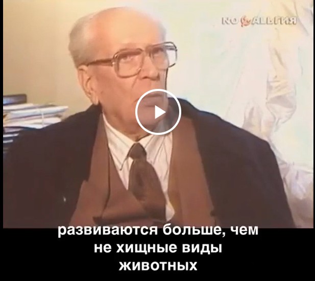 Интервью Д. Лихачева