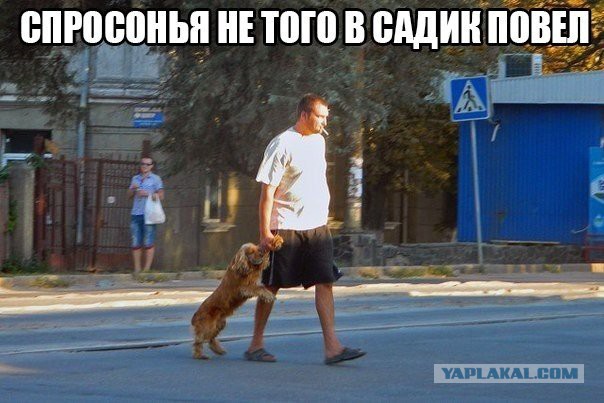 Пацан и его пес